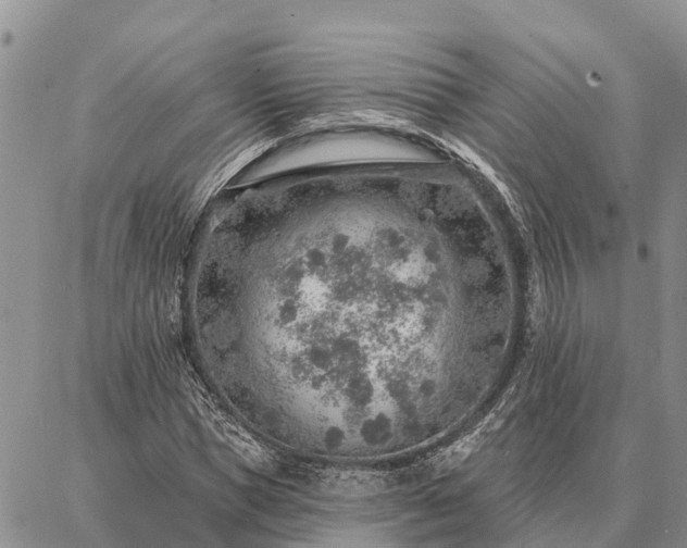 X0000086930921200704231326