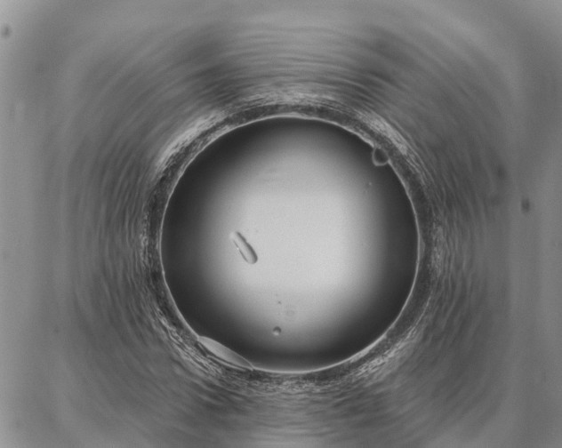 X0000086930922200704231326