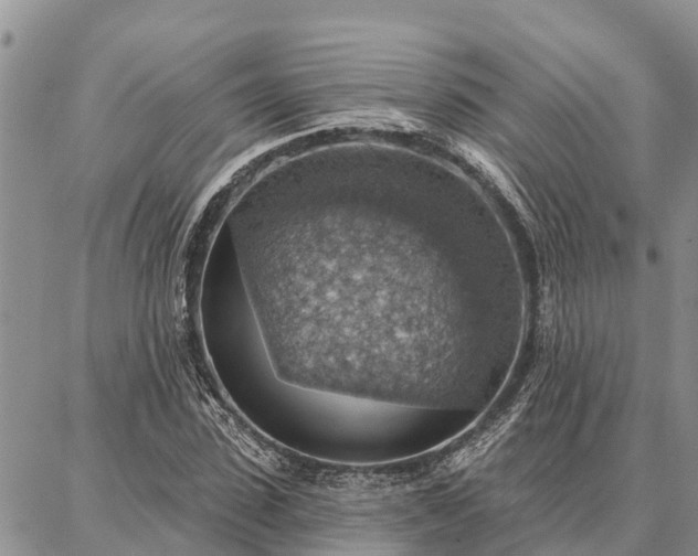 X0000086930923200704231326