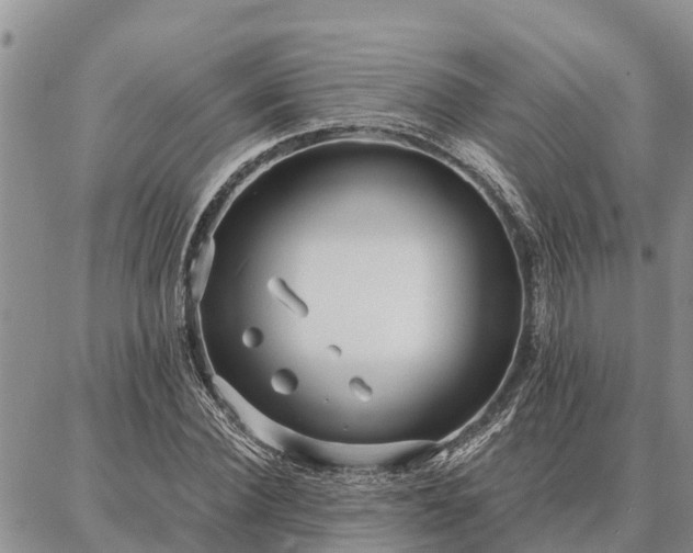 X0000086930924200704231326