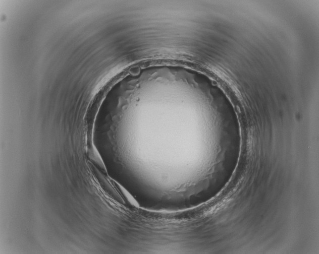 X0000086930925200704231326