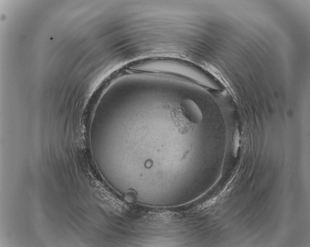 X0000086930926200704231326