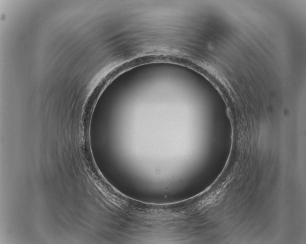 X0000086930927200704231326