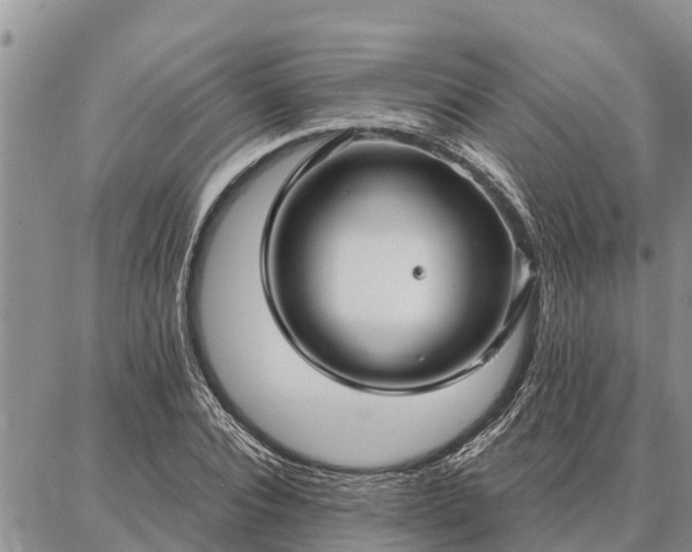 X0000086930928200704231326