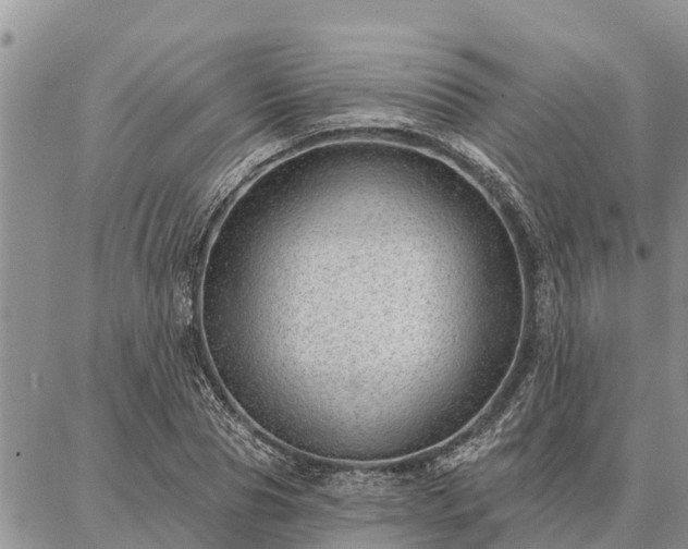 X0000086930929200704231327