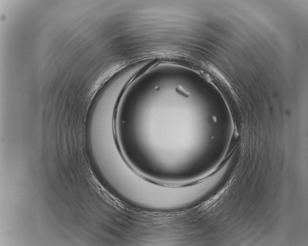 X0000086930930200704231327