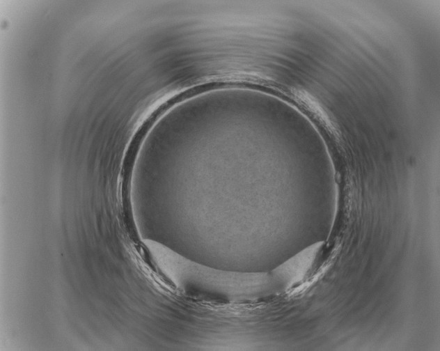 X0000086930932200704231327