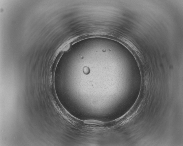 X0000086930933200704231327