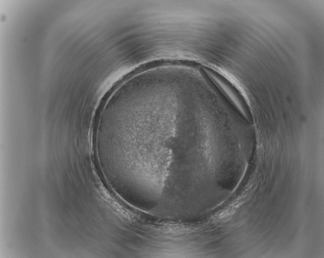 X0000086930935200704231327