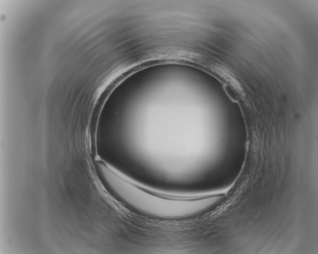 X0000086930936200704231327