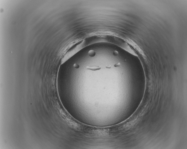 X0000086930937200704231327