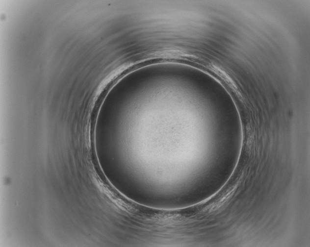 X0000086930939200704231327