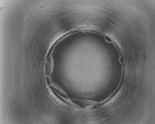 X0000086930941200704231327