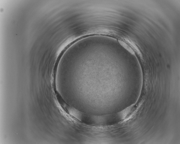 X0000086930944200704231327