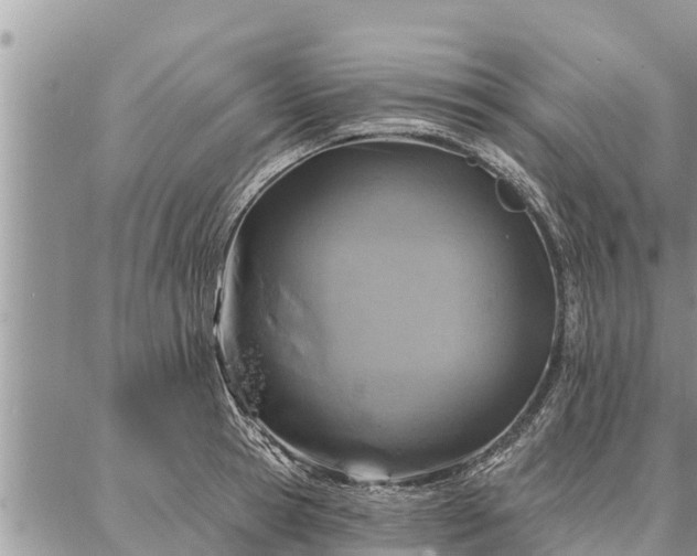 X0000086930945200704231327