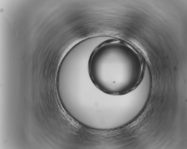 X0000086930948200704231327