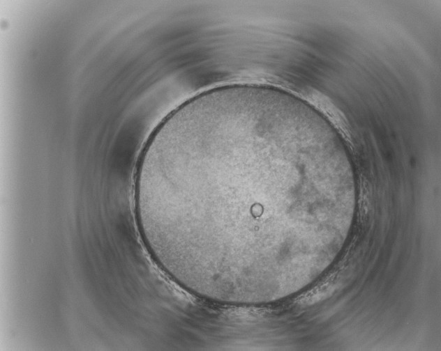 X0000086930950200704231327