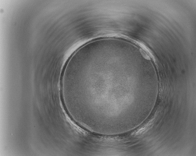 X0000086930951200704231327