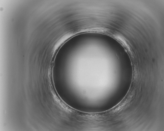 X0000086930952200704231327