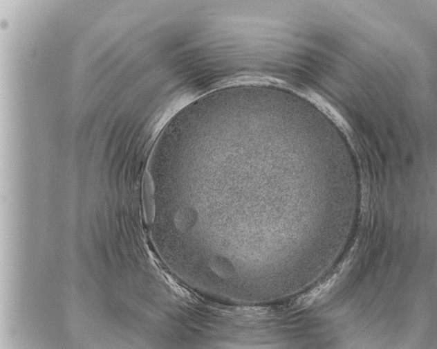 X0000086930953200704231327