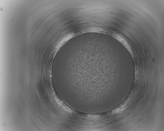 X0000086930954200704231327