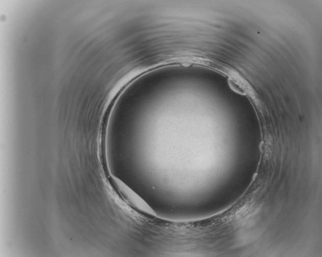 X0000086930955200704231327