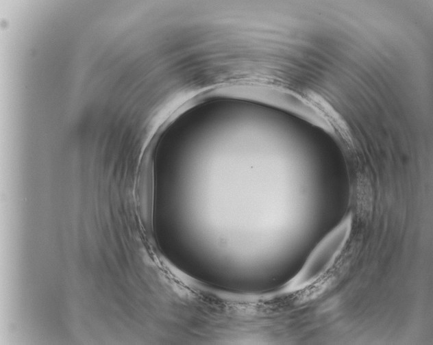 X0000086930956200704231327