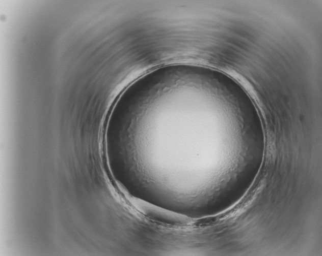 X0000086930957200704231327