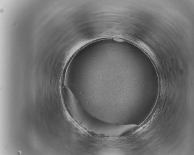 X0000086930958200704231327