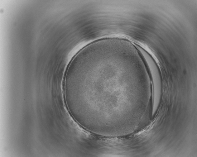 X0000086930959200704231327