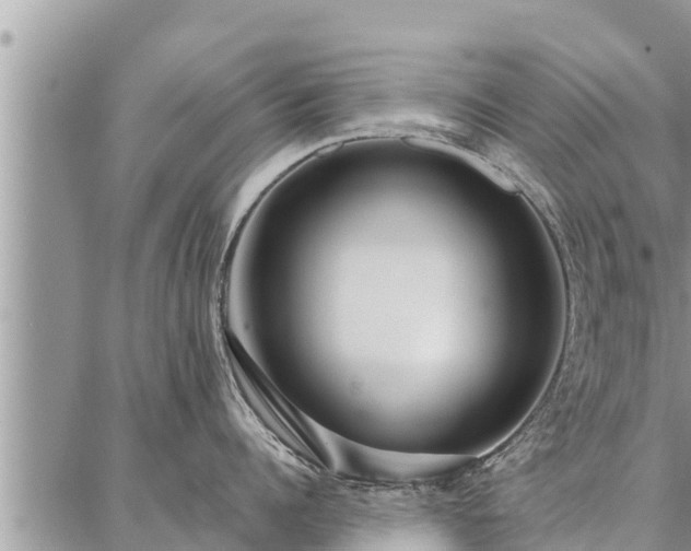 X0000086930960200704231327