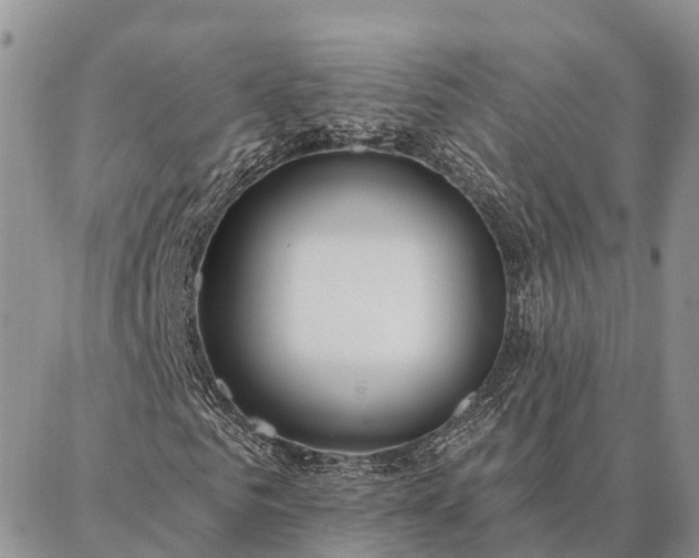 X0000086930961200704231326