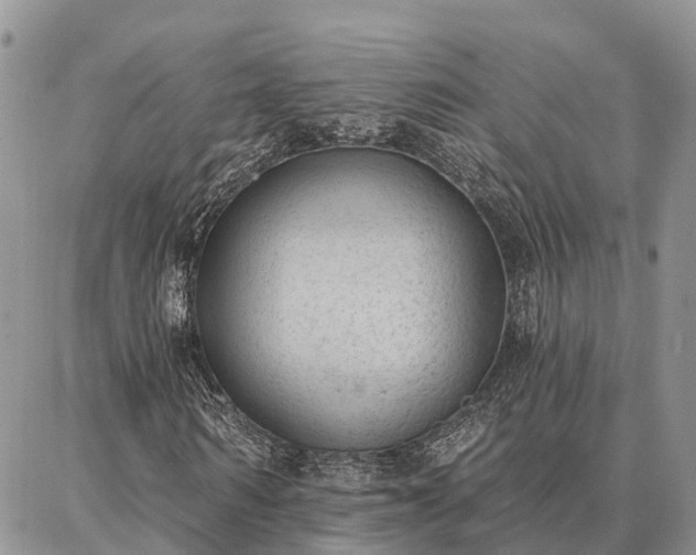 X0000086930962200704231326