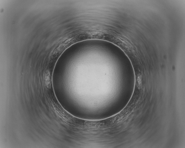 X0000086930963200704231326