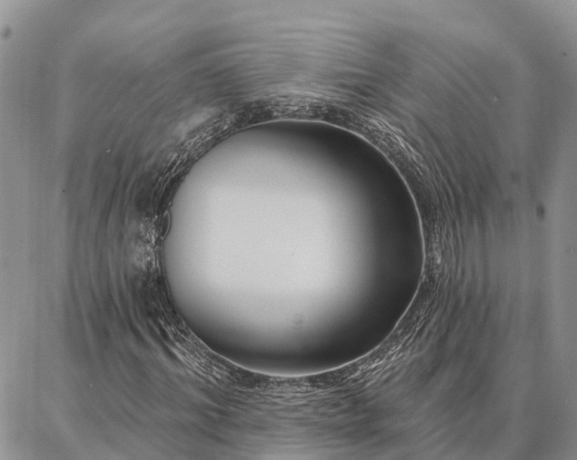 X0000086930964200704231326