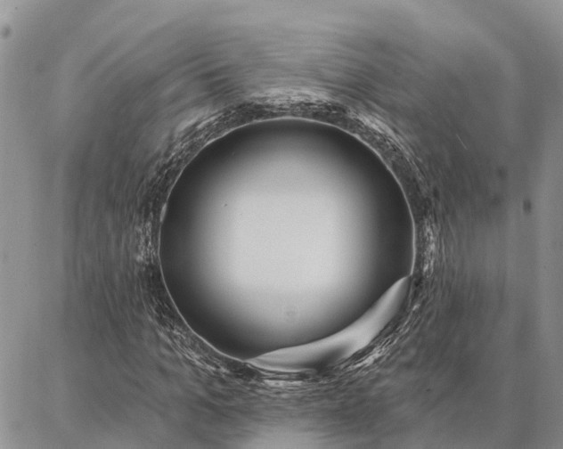 X0000086930965200704231326