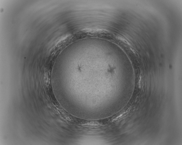 X0000086930966200704231326