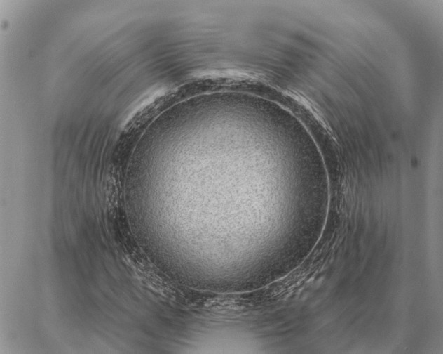 X0000086930967200704231326