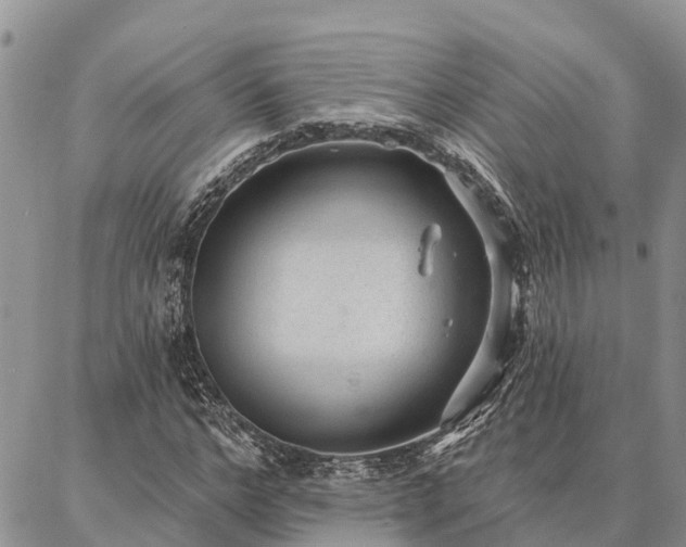 X0000086930968200704231326