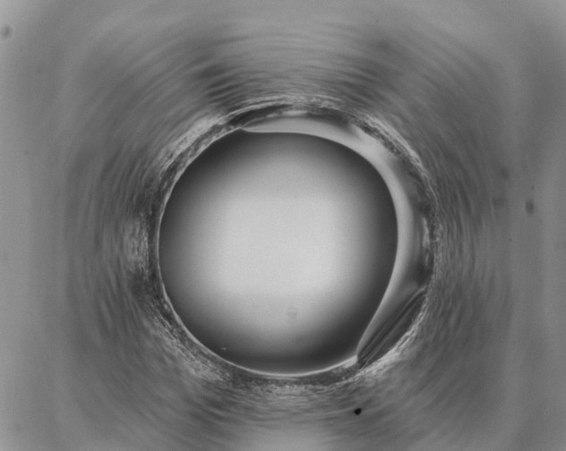 X0000086930969200704231326