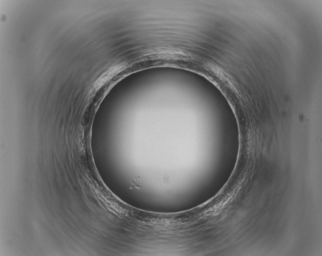 X0000086930970200704231326