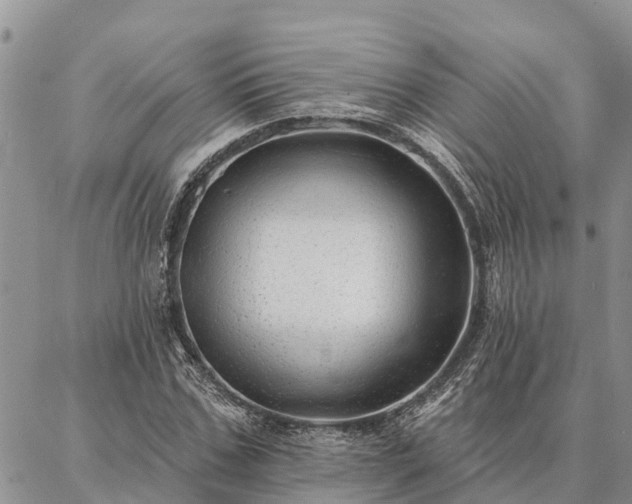 X0000086930971200704231326