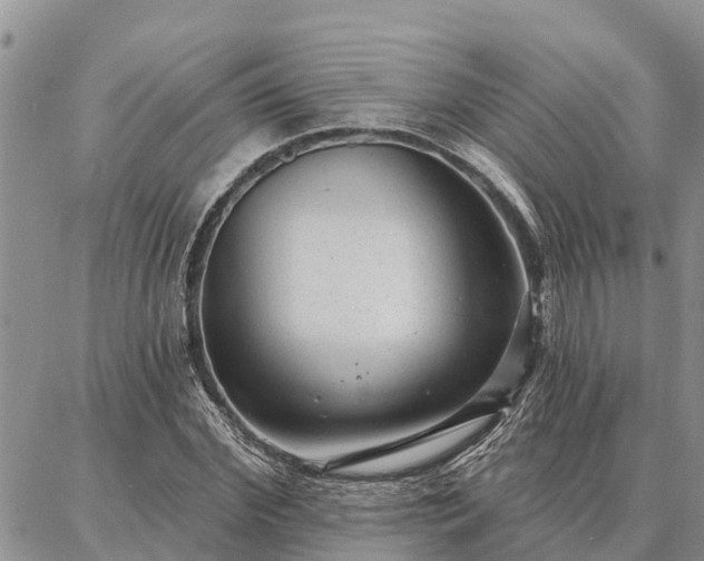 X0000086930972200704231326