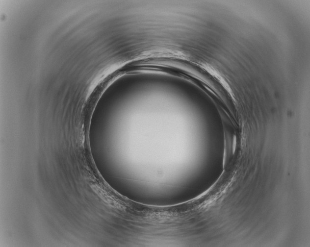 X0000086930973200704231326