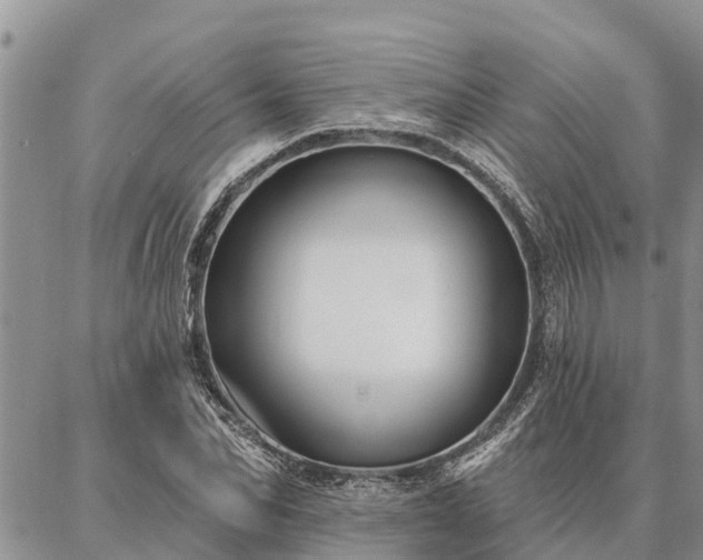 X0000086930974200704231326