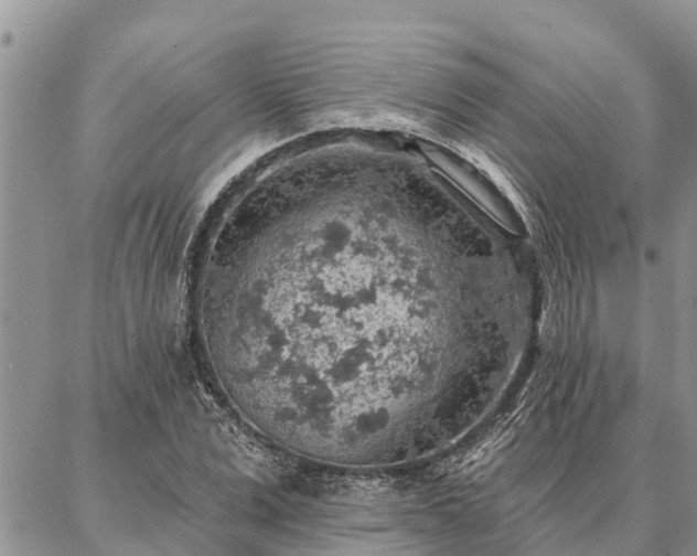 X0000086930975200704231326