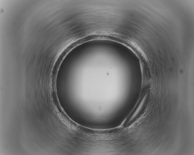 X0000086930976200704231326