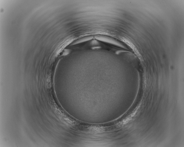 X0000086930977200704231326