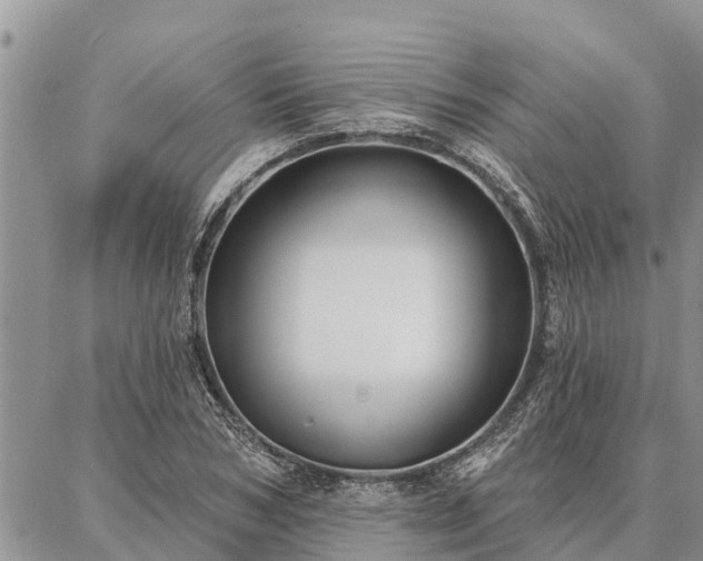 X0000086930978200704231326