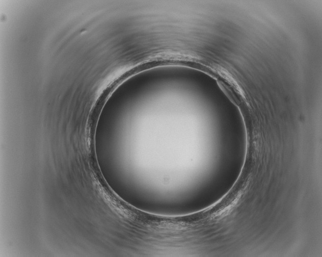 X0000086930981200704231326